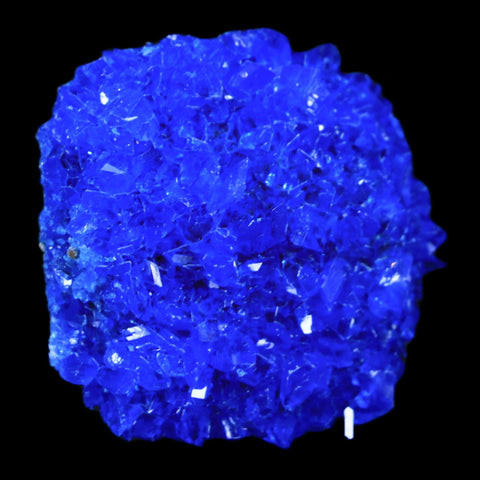 2" Electric Blue Chalcanthite Mineral Crystal Specimen Location Poland Sokolowski - Fossil Age Minerals