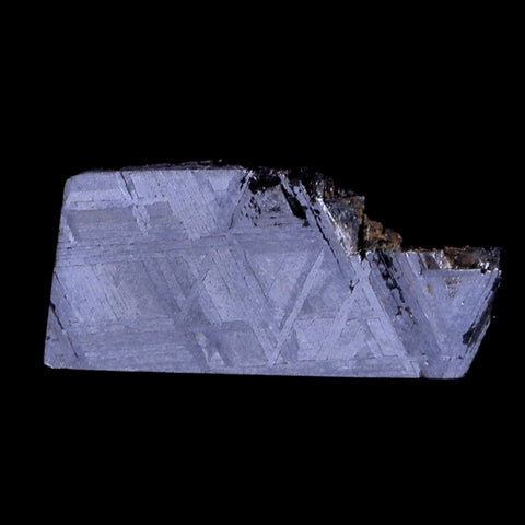 Muonionalusta Meteorite Specimen Riker Display Sweden Meteorites 4.2 Grams - Fossil Age Minerals