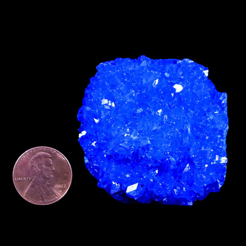 1.9" Electric Blue Chalcanthite Mineral Crystal Specimen Location Poland Sokolowski - Fossil Age Minerals