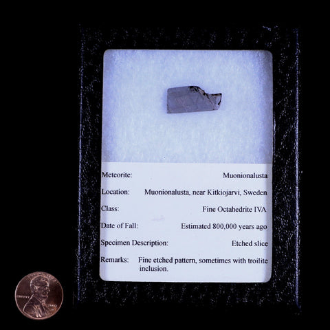 Muonionalusta Meteorite Specimen Riker Display Sweden Meteorites 4.2 Grams - Fossil Age Minerals