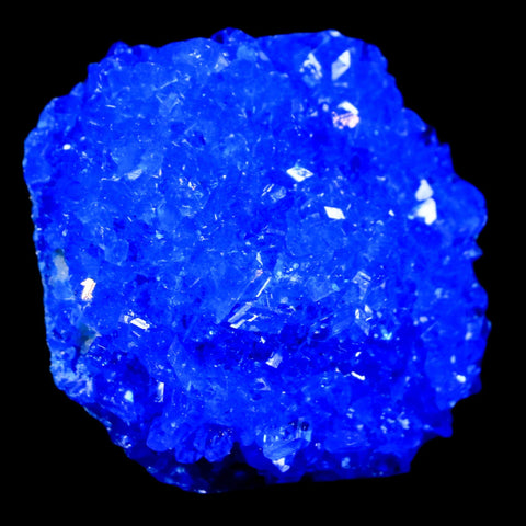 1.9" Electric Blue Chalcanthite Mineral Crystal Specimen Location Poland Sokolowski - Fossil Age Minerals