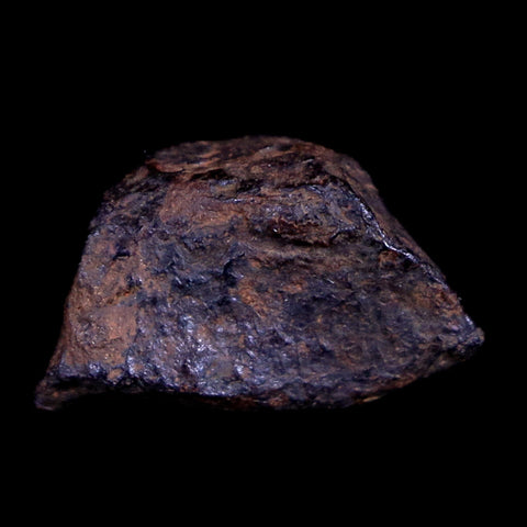 Canyon Diablo Arizona Meteorite Specimen Iron-Nickel Meteorites 4.6 Grams Display - Fossil Age Minerals