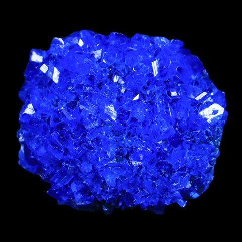 1.8" Electric Blue Chalcanthite Mineral Crystal Specimen Location Poland Sokolowski - Fossil Age Minerals