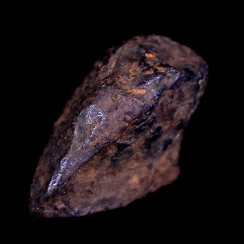 Canyon Diablo Arizona Meteorite Specimen Iron-Nickel Meteorites 3.2 Grams Display - Fossil Age Minerals