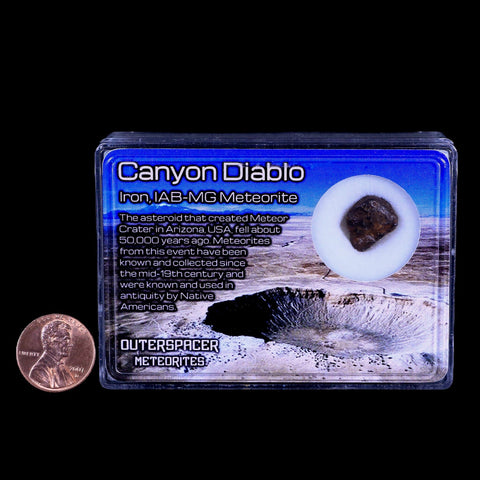 Canyon Diablo Arizona Meteorite Specimen Iron-Nickel Meteorites 3.2 Grams Display - Fossil Age Minerals
