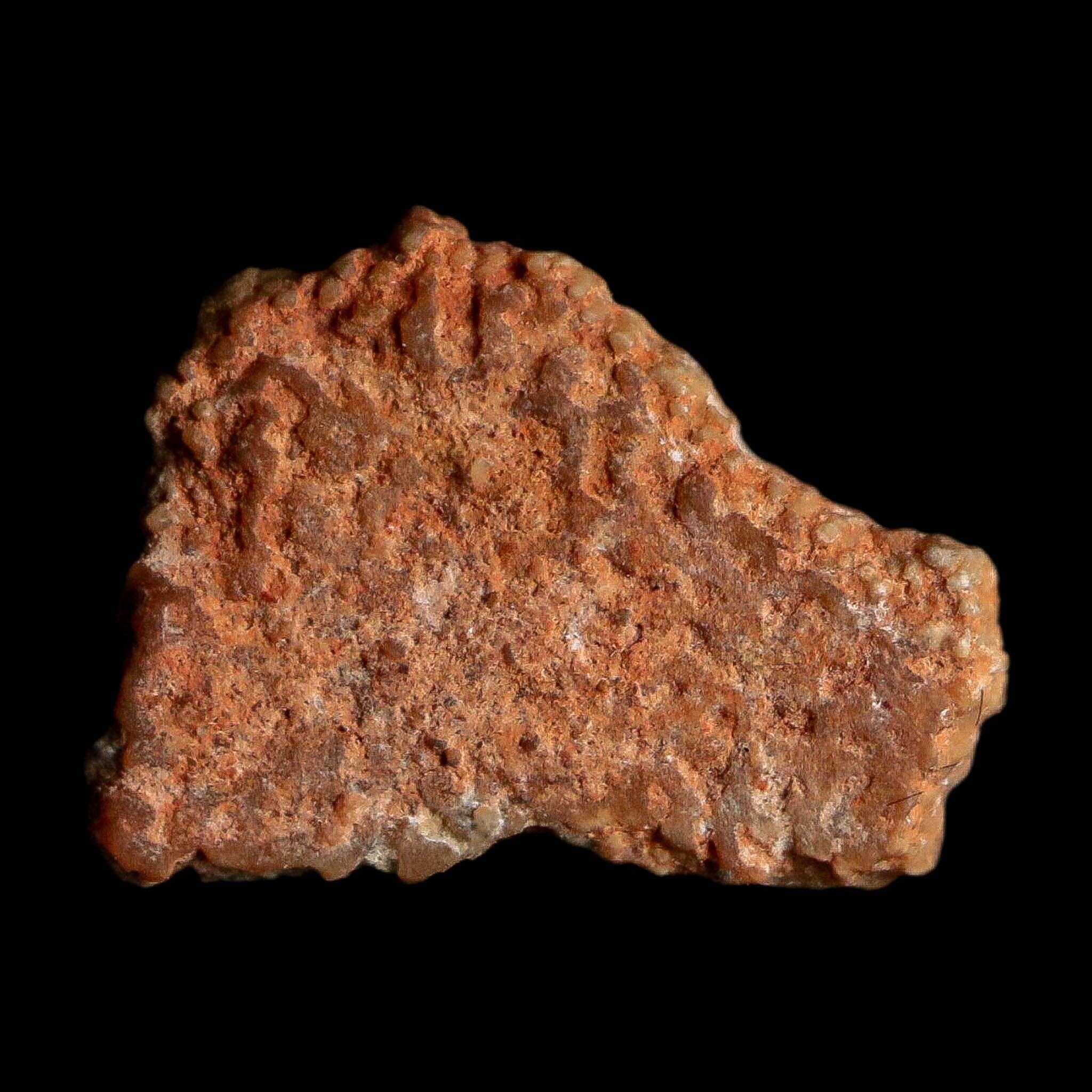 0.5" Megaloolithus Titanosaur Dinosaur Fossil Egg Shell Bouches Du Rhone France Display - Fossil Age Minerals