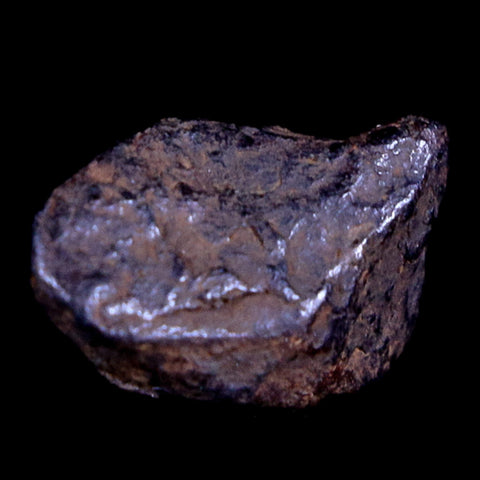 Canyon Diablo Arizona Meteorite Specimen Iron-Nickel Meteorites 3 Grams Display - Fossil Age Minerals