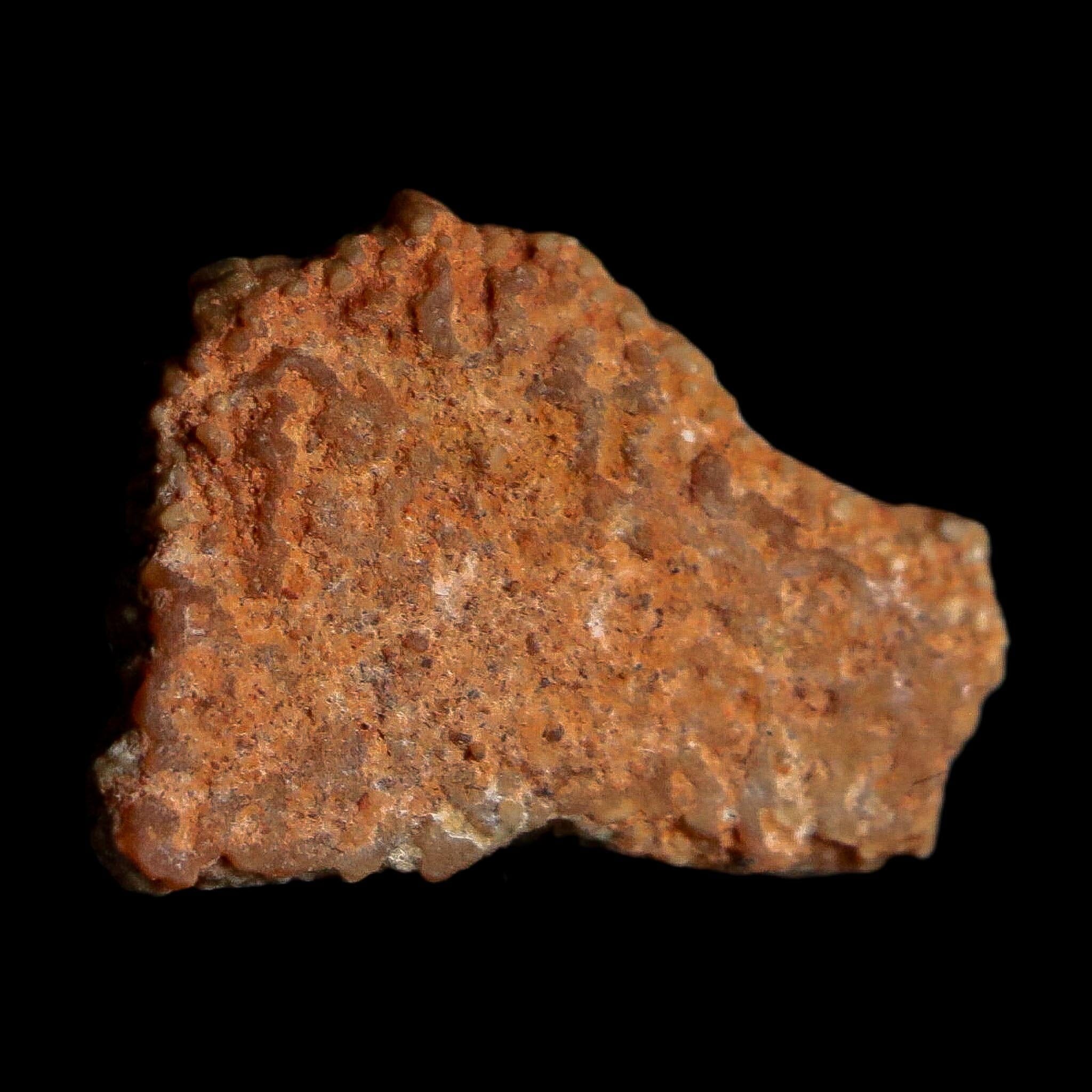 0.5" Megaloolithus Titanosaur Dinosaur Fossil Egg Shell Bouches Du Rhone France Display - Fossil Age Minerals