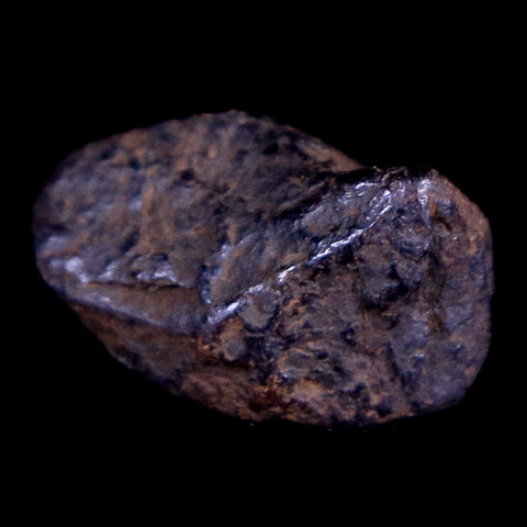 Canyon Diablo Arizona Meteorite Specimen Iron-Nickel Meteorites 3 Grams Display - Fossil Age Minerals