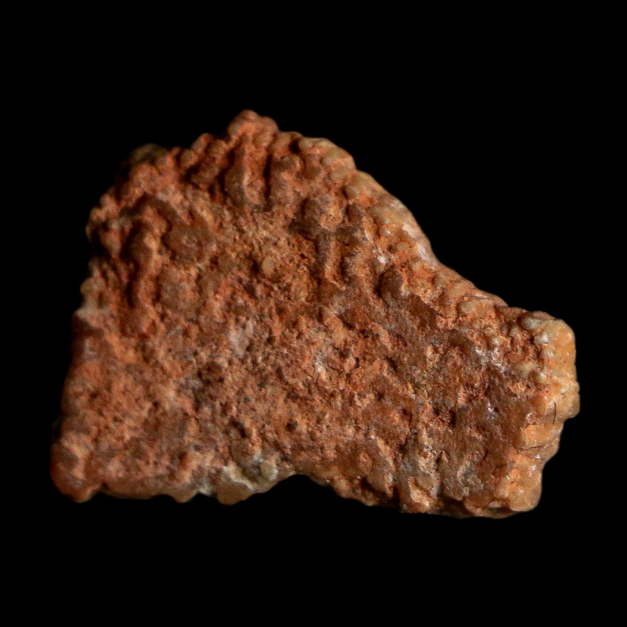 0.5" Megaloolithus Titanosaur Dinosaur Fossil Egg Shell Bouches Du Rhone France Display - Fossil Age Minerals
