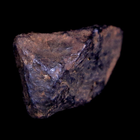 Canyon Diablo Arizona Meteorite Specimen Iron-Nickel Meteorites 3 Grams Display - Fossil Age Minerals