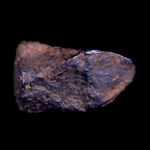 Canyon Diablo Arizona Meteorite Specimen Iron-Nickel Meteorites 3 Grams Display - Fossil Age Minerals