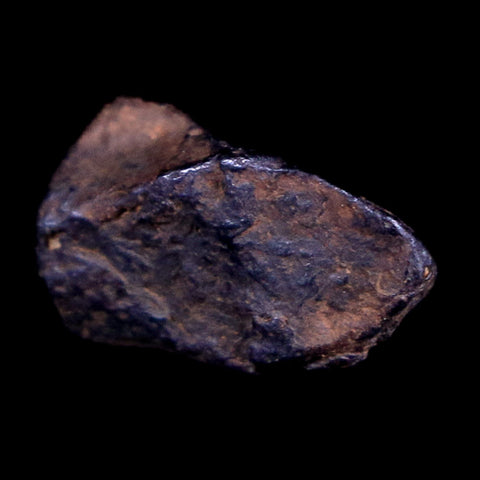 Canyon Diablo Arizona Meteorite Specimen Iron-Nickel Meteorites 3 Grams Display - Fossil Age Minerals