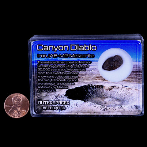 Canyon Diablo Arizona Meteorite Specimen Iron-Nickel Meteorites 3 Grams Display - Fossil Age Minerals