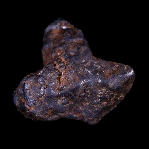 Sericho Stony Iron Pallasite Meteorite Kenya, Africa Found 2016 Display 2.5 Grams - Fossil Age Minerals