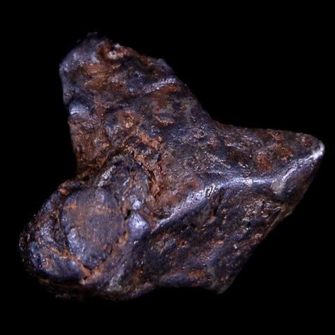 Sericho Stony Iron Pallasite Meteorite Kenya, Africa Found 2016 Display 2.5 Grams - Fossil Age Minerals