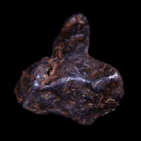 Sericho Stony Iron Pallasite Meteorite Kenya, Africa Found 2016 Display 2.5 Grams - Fossil Age Minerals