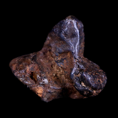 Sericho Stony Iron Pallasite Meteorite Kenya, Africa Found 2016 Display 2.5 Grams - Fossil Age Minerals
