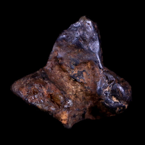 Sericho Stony Iron Pallasite Meteorite Kenya, Africa Found 2016 Display 2.5 Grams - Fossil Age Minerals