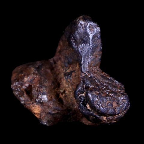 Sericho Stony Iron Pallasite Meteorite Kenya, Africa Found 2016 Display 2.5 Grams - Fossil Age Minerals