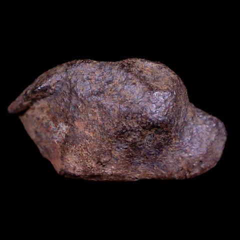 Gebel Kamil Egypt Meteorite Specimen 5000 Yrs Old Meteorites 15.7 Grams Display - Fossil Age Minerals