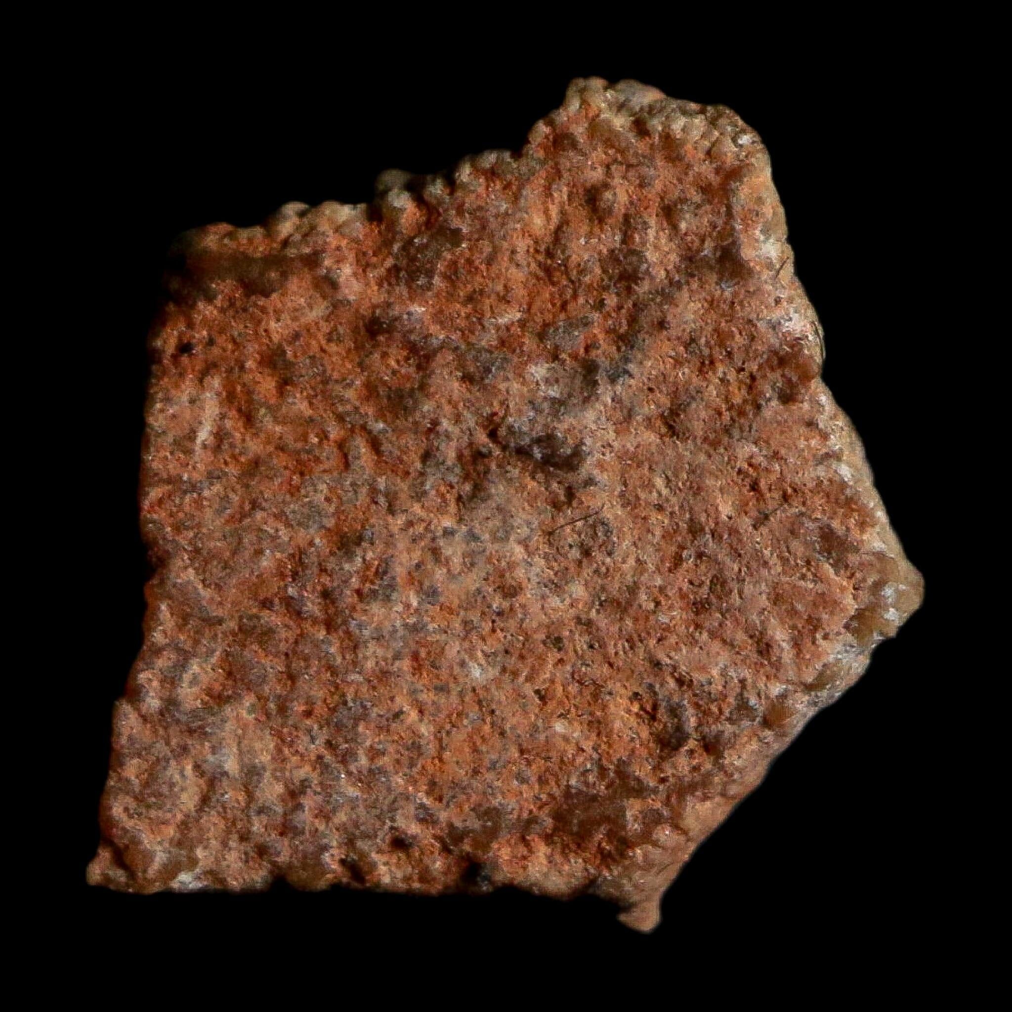 0.4" Megaloolithus Titanosaur Dinosaur Fossil Egg Shell Bouches Du Rhone France Display - Fossil Age Minerals