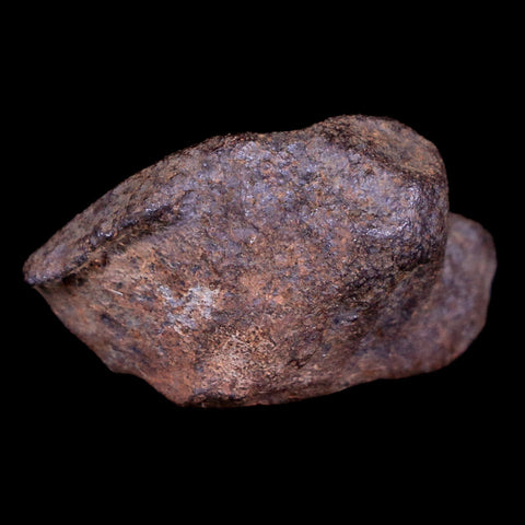 Gebel Kamil Egypt Meteorite Specimen 5000 Yrs Old Meteorites 15.7 Grams Display - Fossil Age Minerals