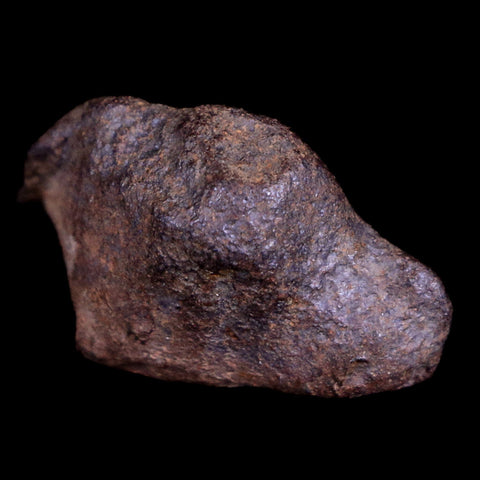 Gebel Kamil Egypt Meteorite Specimen 5000 Yrs Old Meteorites 15.7 Grams Display - Fossil Age Minerals