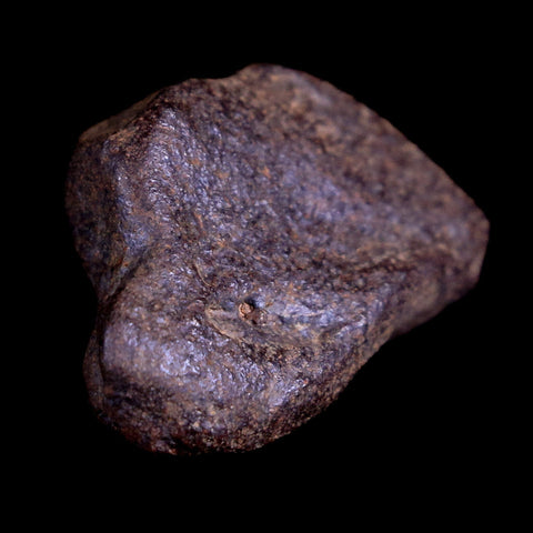Gebel Kamil Egypt Meteorite Specimen 5000 Yrs Old Meteorites 15.7 Grams Display - Fossil Age Minerals