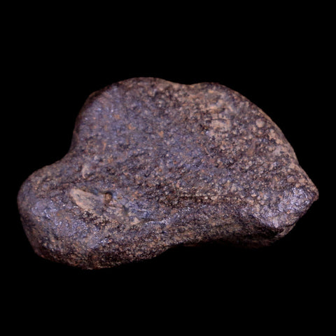 Gebel Kamil Egypt Meteorite Specimen 5000 Yrs Old Meteorites 15.7 Grams Display - Fossil Age Minerals