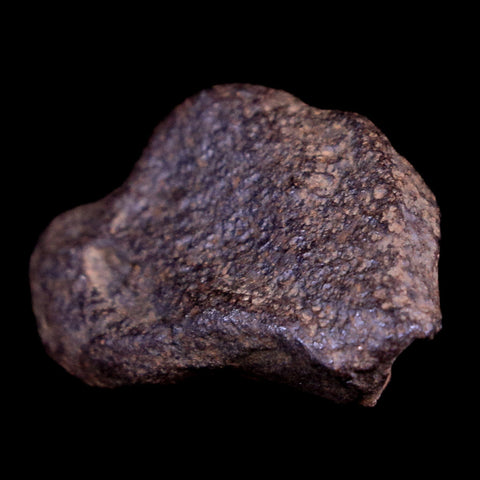 Gebel Kamil Egypt Meteorite Specimen 5000 Yrs Old Meteorites 15.7 Grams Display - Fossil Age Minerals