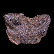 Gebel Kamil Egypt Meteorite Specimen 5000 Yrs Old Meteorites 9 Grams Display