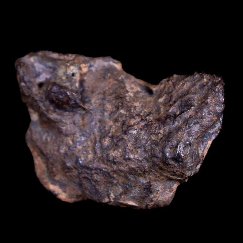 Gebel Kamil Egypt Meteorite Specimen 5000 Yrs Old Meteorites 9 Grams Display - Fossil Age Minerals