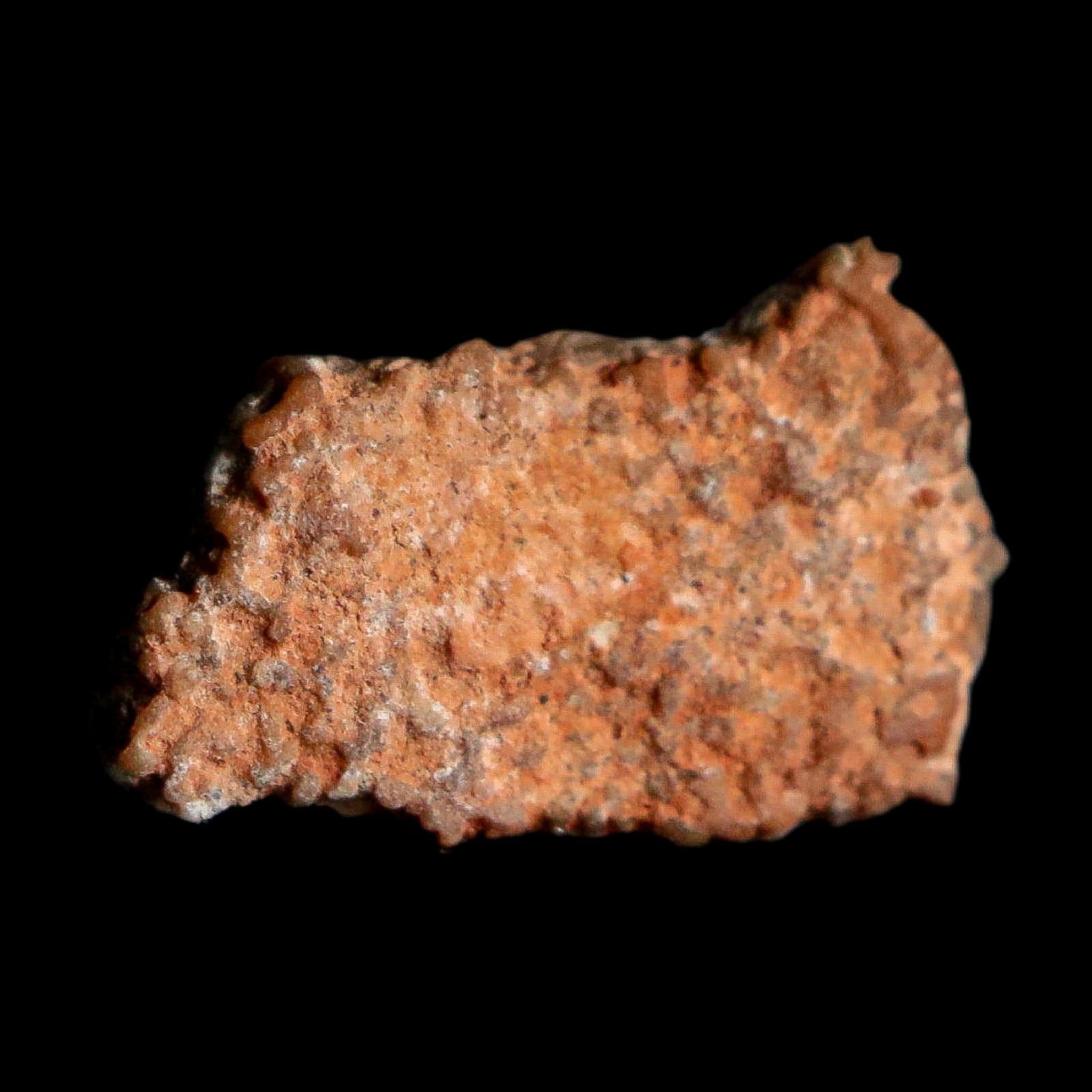 0.5" Megaloolithus Titanosaur Dinosaur Fossil Egg Shell Bouches Du Rhone France Display - Fossil Age Minerals
