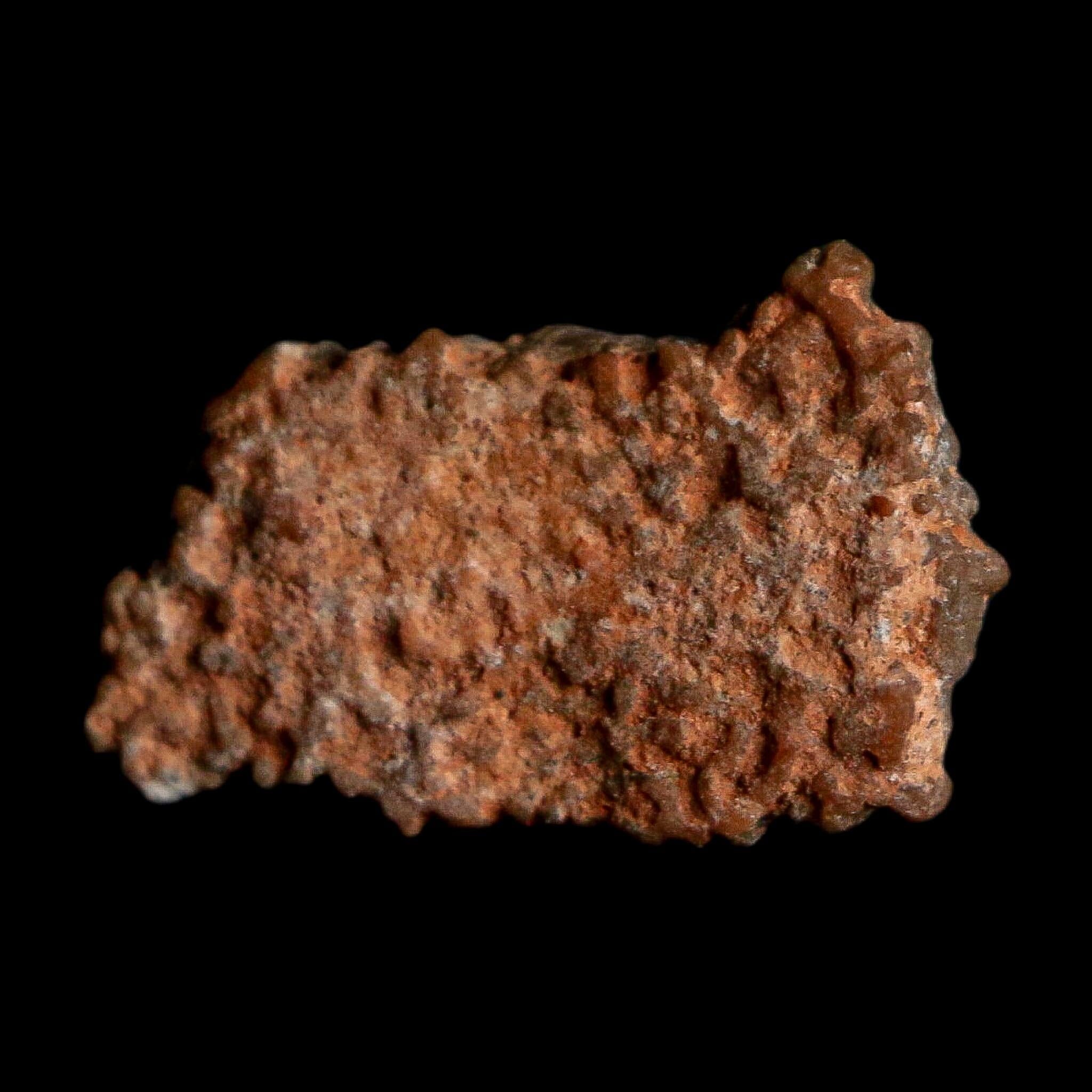 0.5" Megaloolithus Titanosaur Dinosaur Fossil Egg Shell Bouches Du Rhone France Display - Fossil Age Minerals