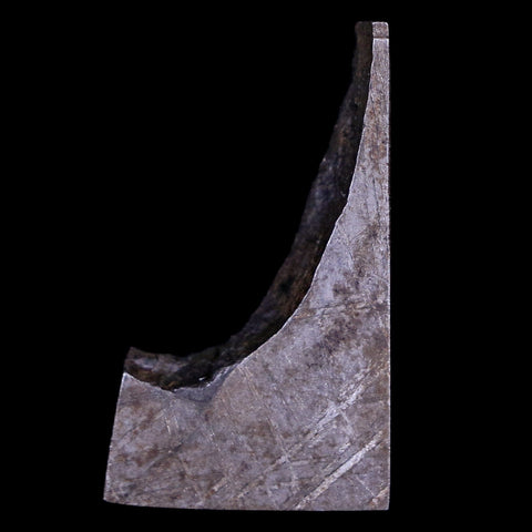 Gibeon Meteorite Specimen Riker Display Namibia Africa Meteorites 8.7 Grams - Fossil Age Minerals