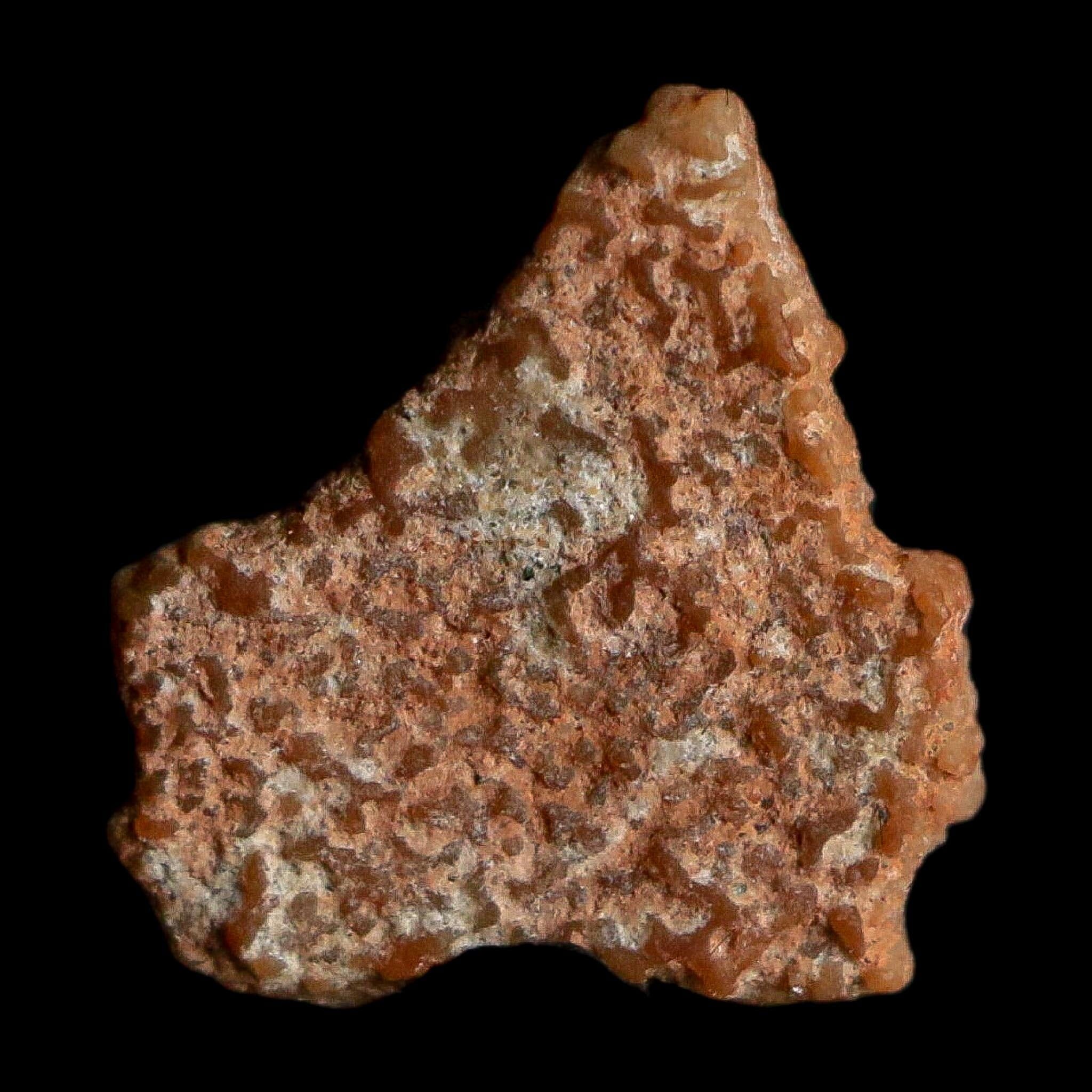 0.4" Megaloolithus Titanosaur Dinosaur Fossil Egg Shell Bouches Du Rhone France Display - Fossil Age Minerals