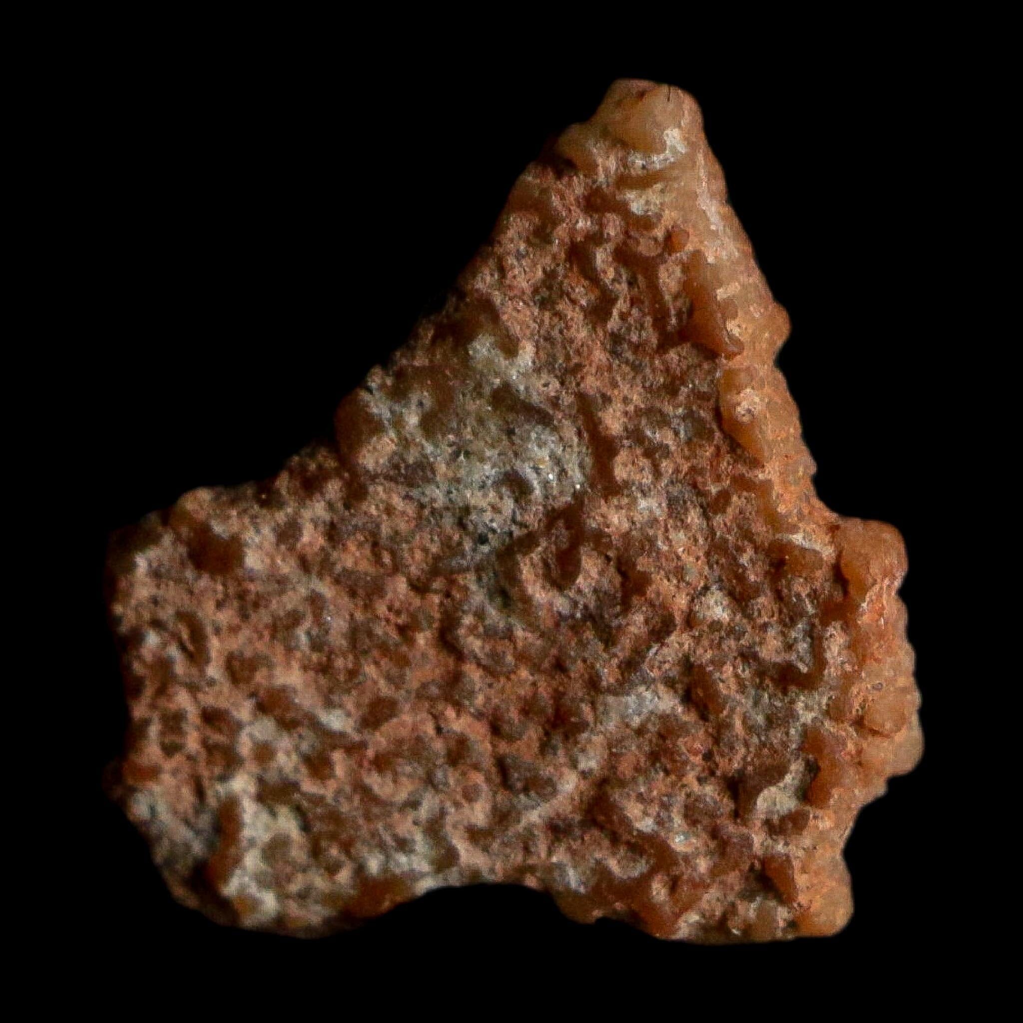0.4" Megaloolithus Titanosaur Dinosaur Fossil Egg Shell Bouches Du Rhone France Display - Fossil Age Minerals