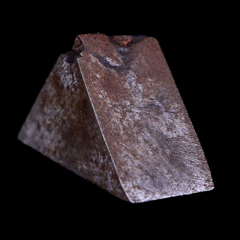 Gibeon Meteorite Specimen Riker Display Namibia Africa Meteorites 6.8 Grams - Fossil Age Minerals