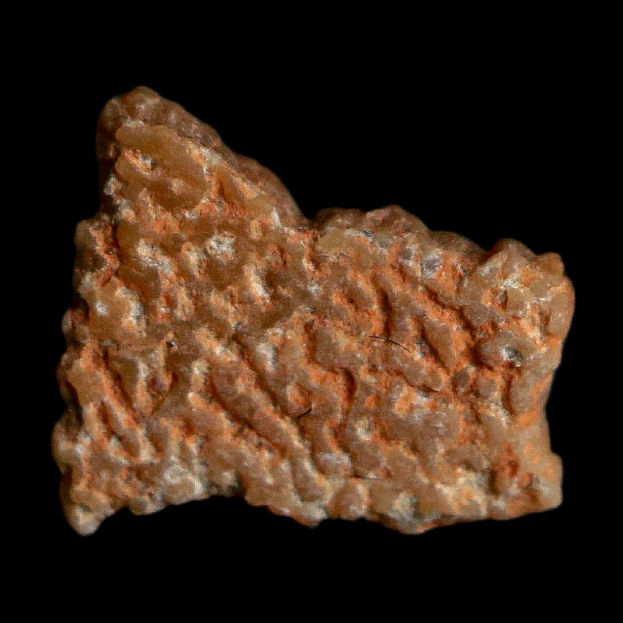 0.4" Megaloolithus Titanosaur Dinosaur Fossil Egg Shell Bouches Du Rhone France Display - Fossil Age Minerals
