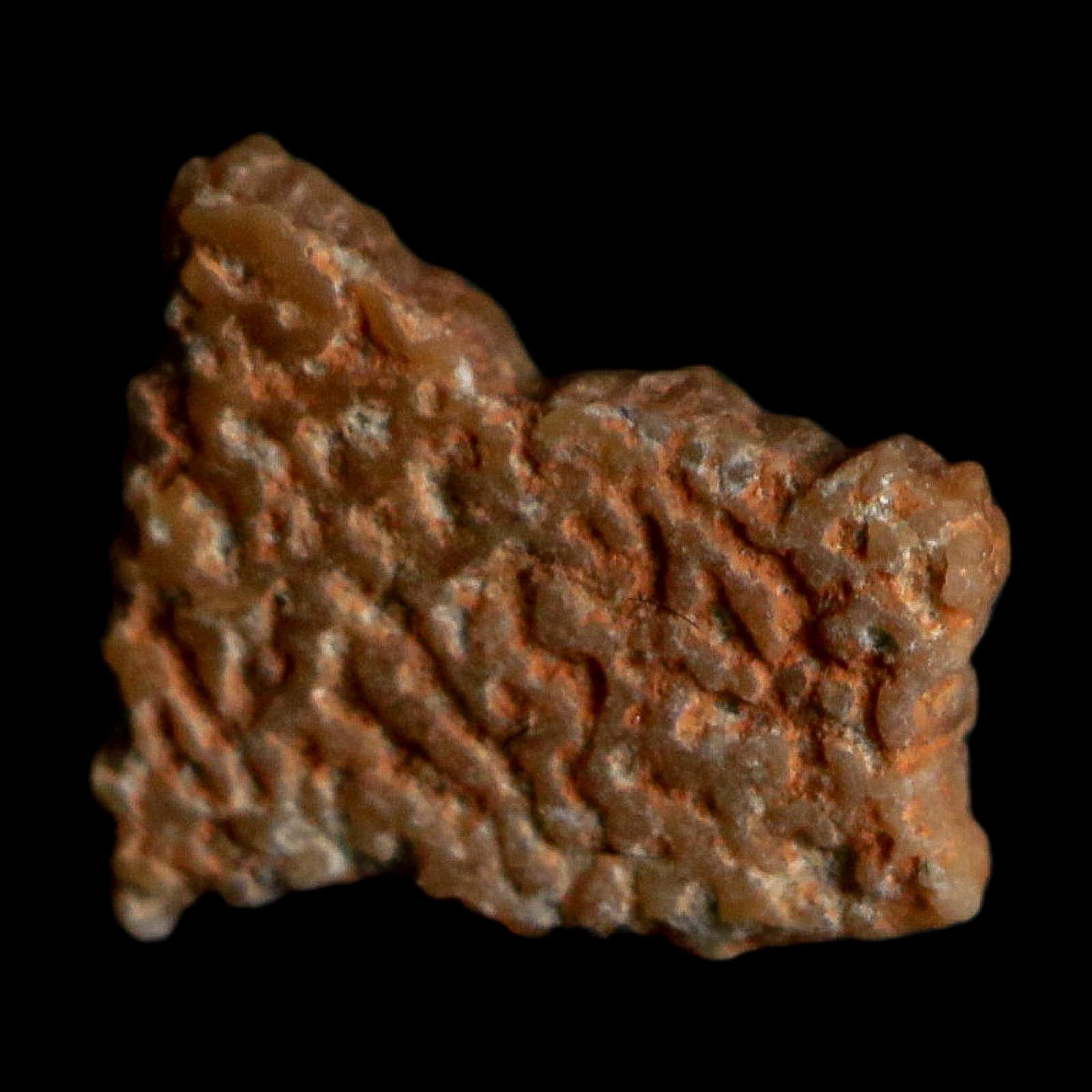 0.4" Megaloolithus Titanosaur Dinosaur Fossil Egg Shell Bouches Du Rhone France Display - Fossil Age Minerals