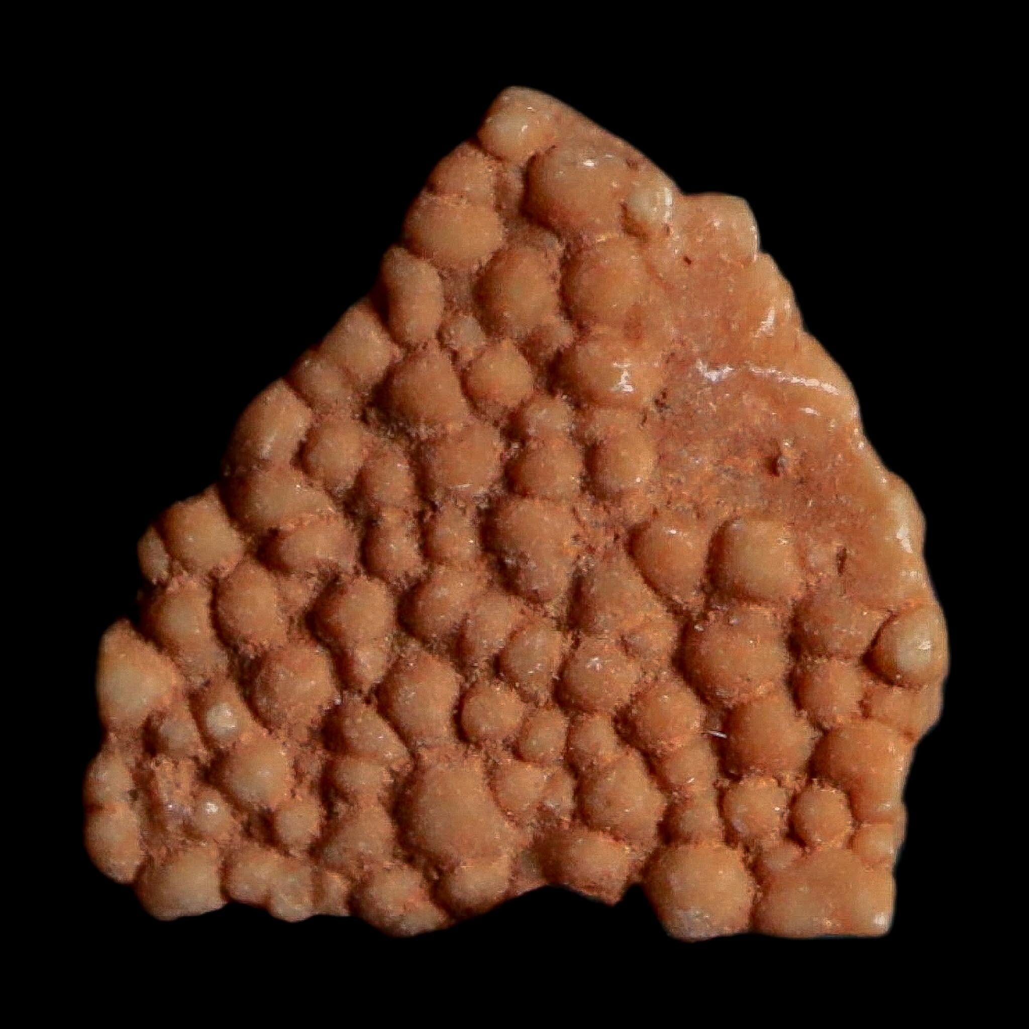 0.3" Megaloolithus Titanosaur Dinosaur Fossil Egg Shell Bouches Du Rhone France Display - Fossil Age Minerals