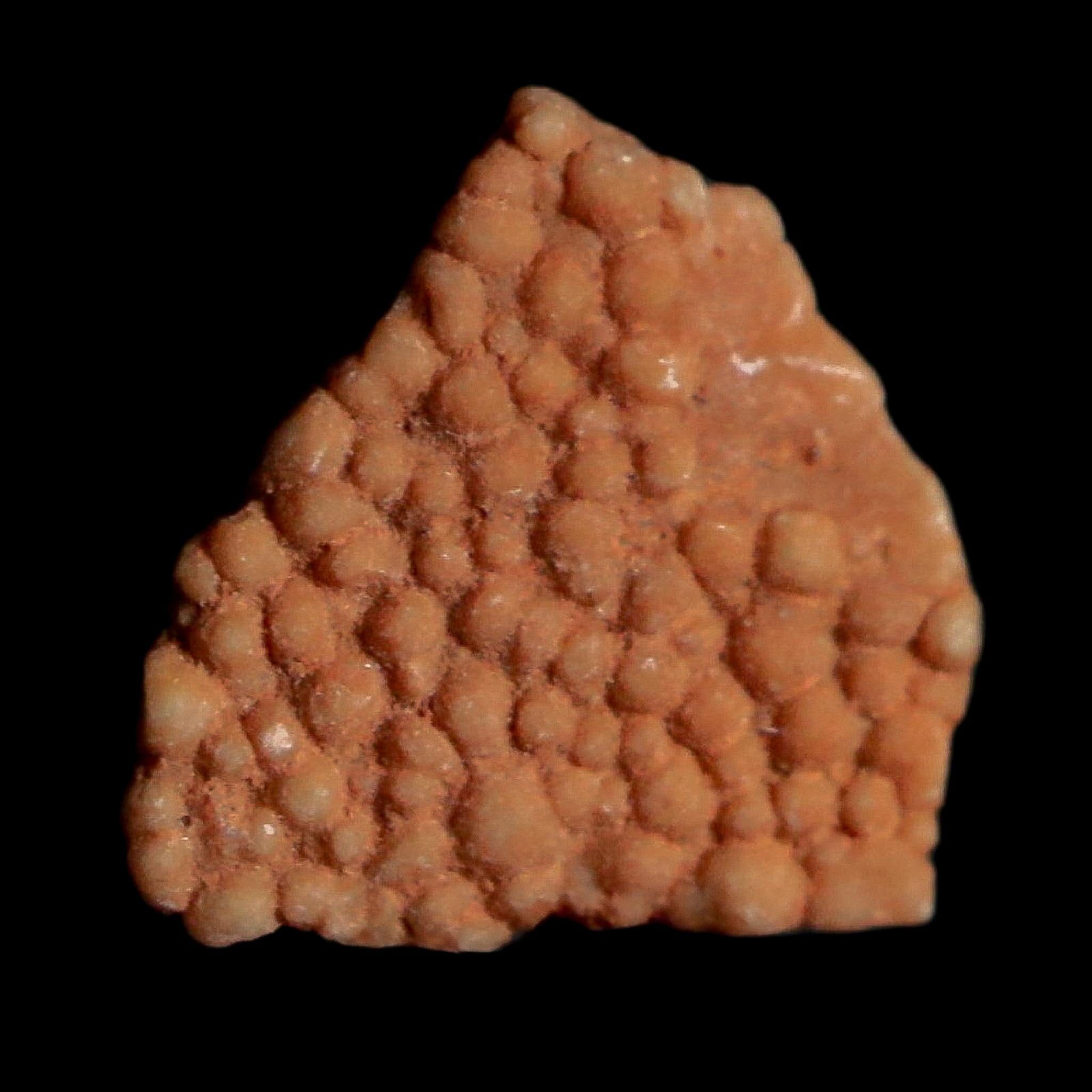 0.3" Megaloolithus Titanosaur Dinosaur Fossil Egg Shell Bouches Du Rhone France Display - Fossil Age Minerals