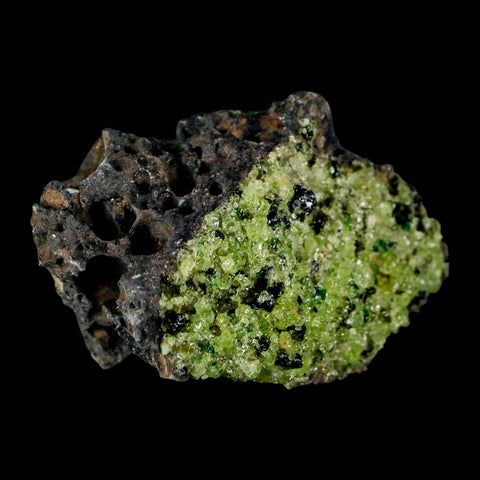 3.2" Emerald Peridot Crystals, Chrome Diopside And Spinel On Volcanic Rock Gila, AZ - Fossil Age Minerals