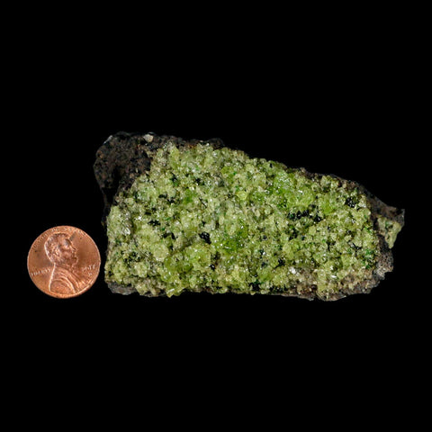 3.2" Emerald Peridot Crystals, Chrome Diopside And Spinel On Volcanic Rock Gila, AZ - Fossil Age Minerals