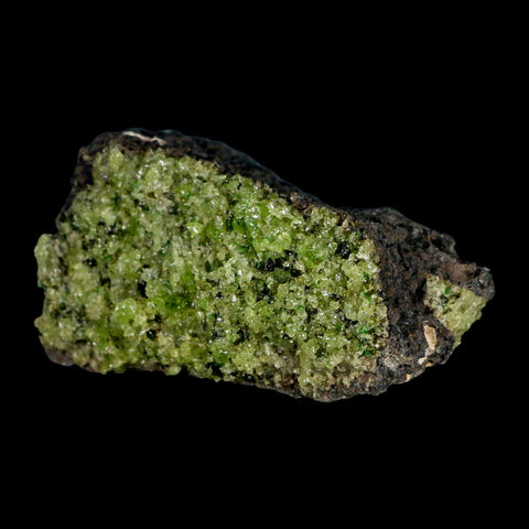 3.2" Emerald Peridot Crystals, Chrome Diopside And Spinel On Volcanic Rock Gila, AZ - Fossil Age Minerals