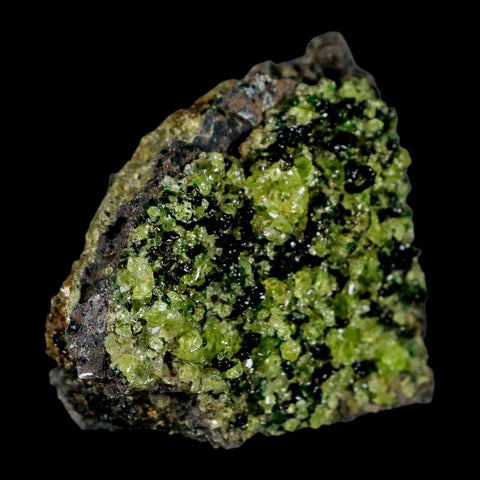 2.7" Emerald Peridot Crystals, Chrome Diopside And Spinel On Volcanic Rock Gila, AZ - Fossil Age Minerals