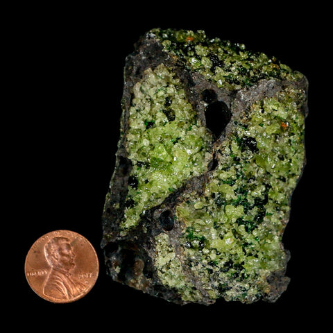 2.6" Emerald Peridot Crystals, Chrome Diopside And Spinel On Volcanic Rock Gila, AZ - Fossil Age Minerals