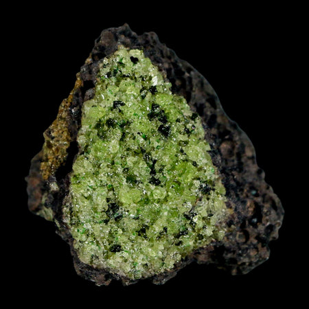 2.4" Emerald Peridot Crystals, Chrome Diopside And Spinel On Volcanic Rock Gila, AZ
