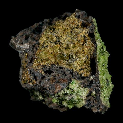 2.4" Emerald Peridot Crystals, Chrome Diopside And Spinel On Volcanic Rock Gila, AZ - Fossil Age Minerals